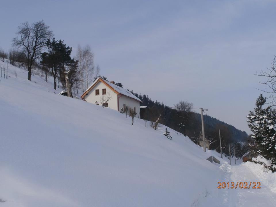 הוילה Frýdštejn Charming House With Beautiful Landscape מראה חיצוני תמונה